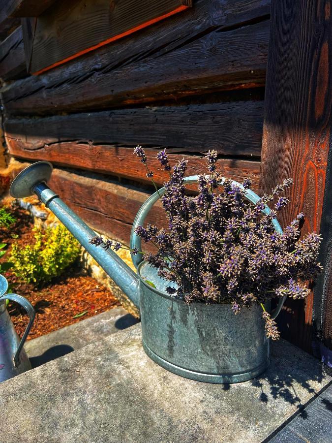 Malinowa Chatka Jankowice  Dış mekan fotoğraf